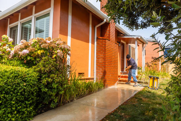 Best Pressure Washing Near Me  in Terrytown, LA